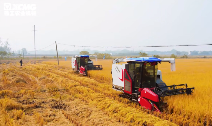 5bbb01f9194a4c4690a62c455ae1ba38