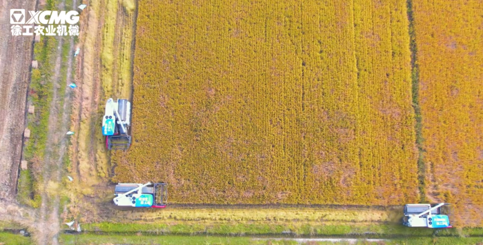 e20aca22a9b941139ad425f4128e3ff5