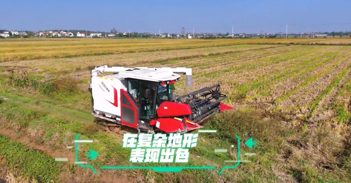 982e5175579240e7b00703a57593d711