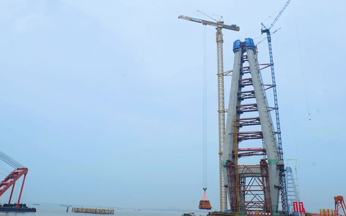 ea69d861149943cbb1a1f335b5b9d401